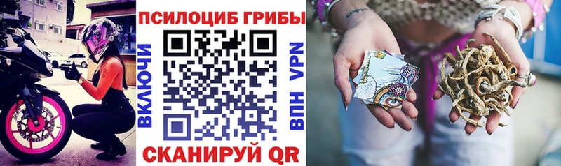 дарнет шоп Сретенск Галлюциногенные грибы прущие грибы